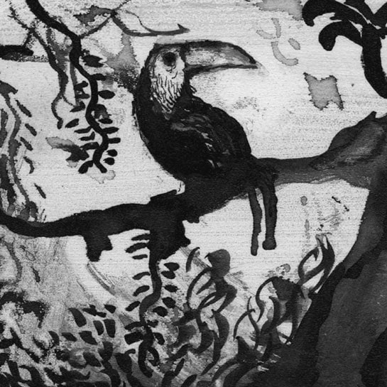 Vazquez-La-Chasse